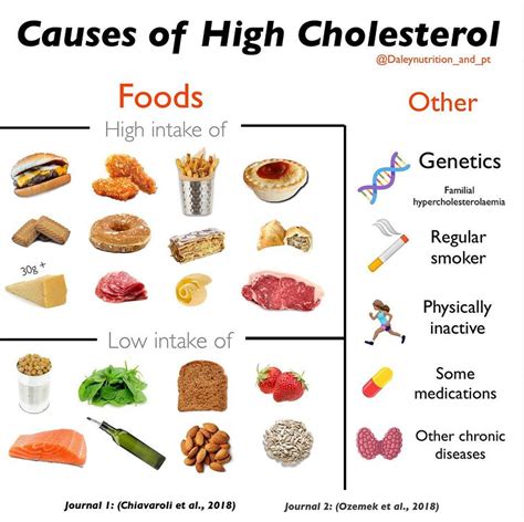 High Cholesterol Foods - Daley Nutrition - Community Team