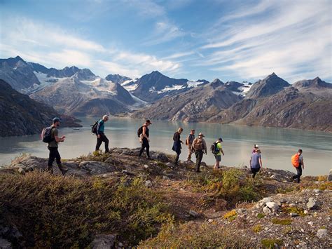 Glacier Bay National Park - Quirky Cruise