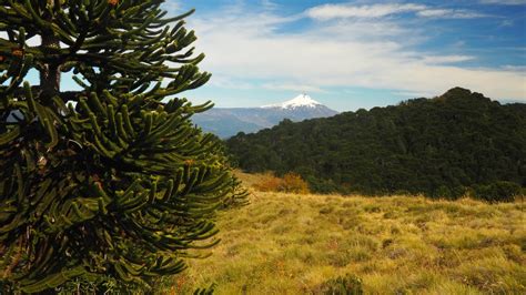 6 Of The Best Day Hikes In Chile | Above Us Only Skies