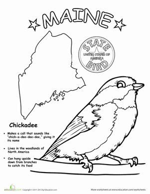 Maine State Bird | Worksheet | Education.com | State birds, Geography for kids, Maine