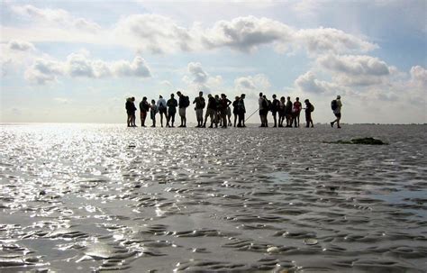 Celebrating The Wadden Sea - By Google | NoobersTube