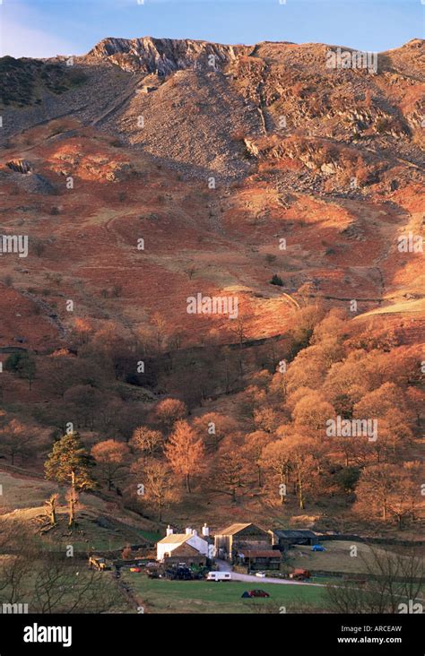 Lingmoor fell autumn hi-res stock photography and images - Alamy