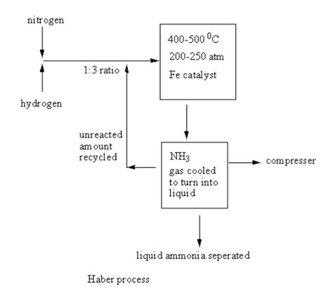 Draw labelled diagram of Haber process for the manufacture of ammonia and write chemical equation?