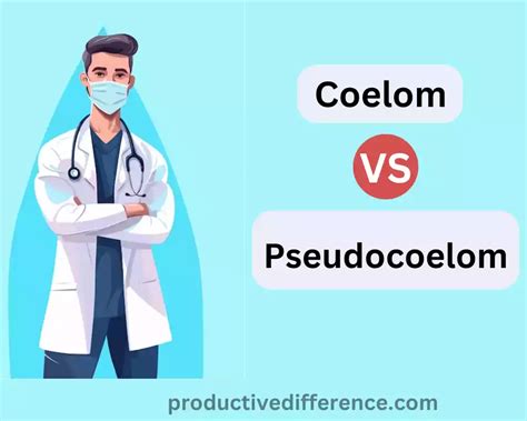 Difference Between Coelom and Pseudocoelom