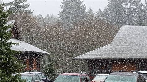 Parts of Western Washington get a dusting of snow | FOX 13 Seattle