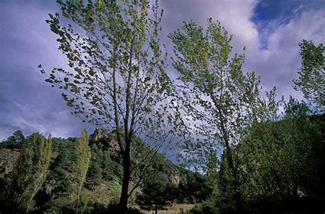 Sierra de Alcaraz, Albacete pictures. Photography gallery of Castilla ...