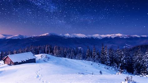 1920x1080 Resolution star, forest, night 1080P Laptop Full HD Wallpaper ...