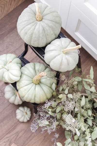 DIY Heirloom Pumpkin Tutorial - Jamie Lundstrom