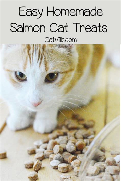 Homemade Salmon Cat Treats Recipe - CatVills