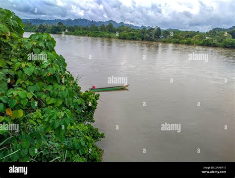 a man drifting his boat on Mentarang River, Malinau, Borneo, Indonesia Stock Photo - Alamy