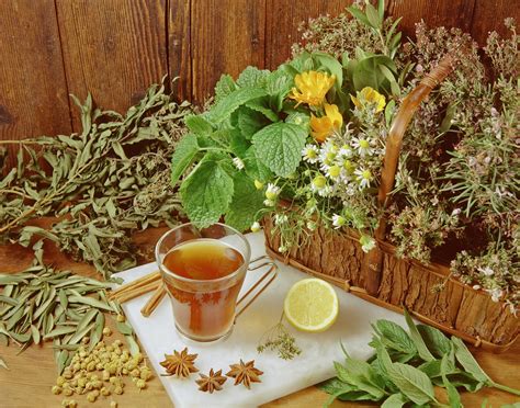 7 Infusiones y otros remedios con agua para aliviar la tos - Doctor ...