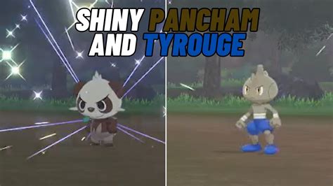 SHINY PANCHAM AFTER 1337 ENCOUNTERS and ACCIDENTAL SHINY TYROUGE: Sword ...