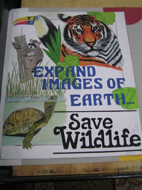 Poster on Saving Wildlife | Poster on save wildlife, Save wildlife poster painting, Art drawings ...