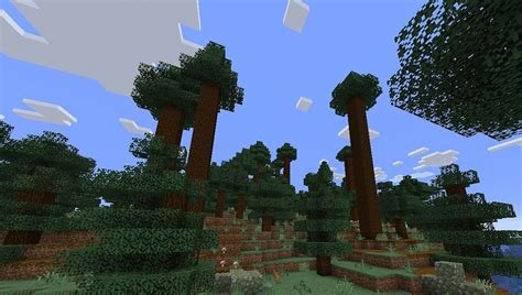 Giant Tree Taiga Hills in Minecraft