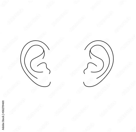 Vector isolated two pair human ears mirror symmetrical colorless black and white contour line ...