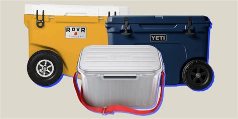 The 13 Best Coolers on the Market for Keeping Food and Drinks Cold ...