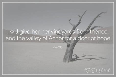 What Is The Meaning Of The Valley Of Achor In The Bible?