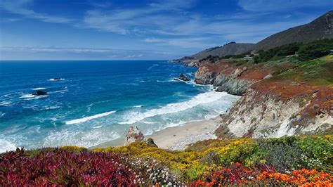 Ocean and Coastline | San Diego Zoo Animals & Plants