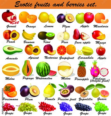 Rare Fruits Names