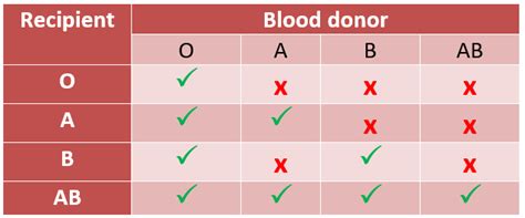 Abo Blood Types Chart