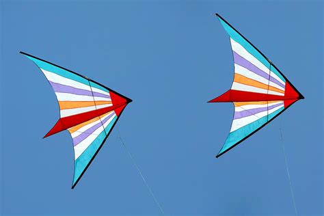 Flying Kites Into The Wind Photograph by Christine Till