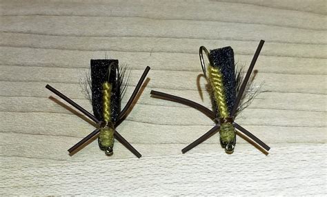 Jon Baiocchi Fly Fishing News: The Skwala Stonefly ~ Identification ...