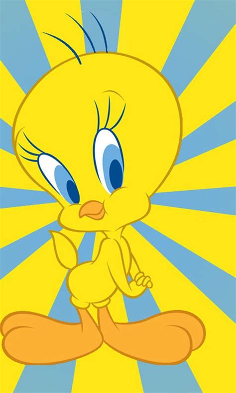 Tweety Bird for Android, Cute Tweety Bird HD phone wallpaper | Pxfuel