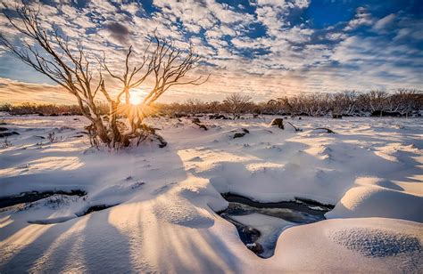 Australian Alps, Snowy Mountains, southern alps, environment, wildlife ...