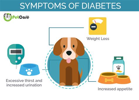 Signs Of Dogs Having Diabetes - DiabetesWalls