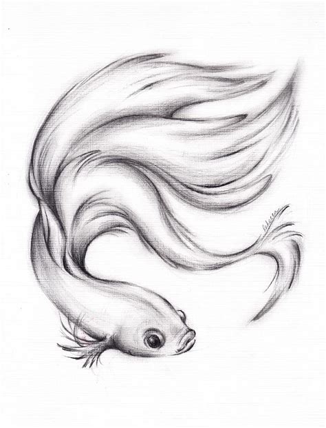 Fish Pencil Drawing at PaintingValley.com | Explore collection of Fish Pencil Drawing