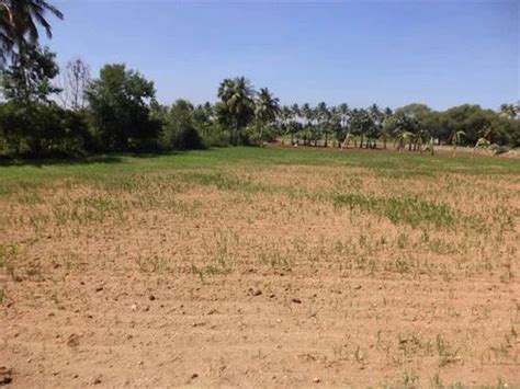 Agriculture Land Sale, Farm Land For Sale in Erode