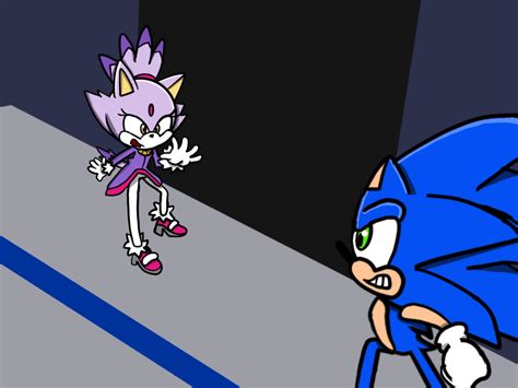 Sonic vs. blaze by Rubyfonzie2007 on DeviantArt