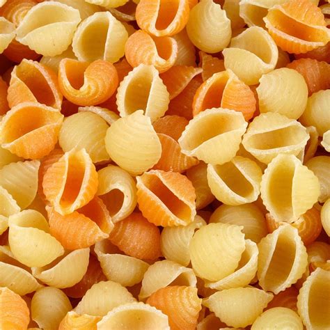 How To Boil Conchiglie | BoilingTime.com