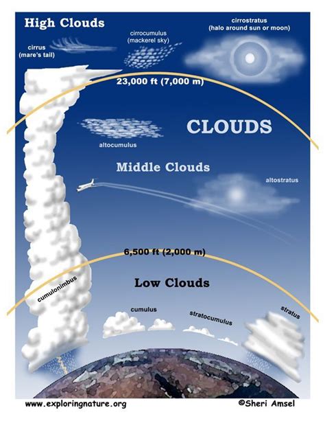 Easy explanation of an occluded front with diagram – Artofit