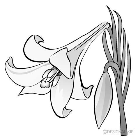 Flowers Clipart Black And White Png | Best Flower Site