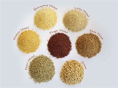 IYOM 2023: Steps Taken by Indian Government for Promoting Millet Production