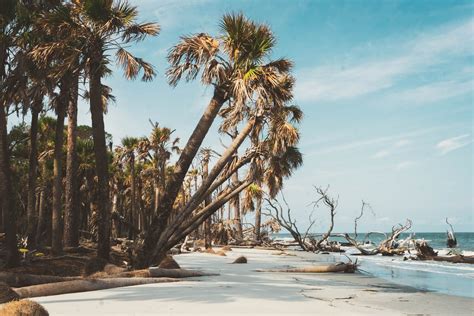 South Carolina Beaches: Experience the Jaw-Dropping Beauty Like Never ...