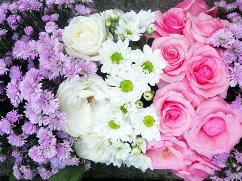 Paling Keren 20+ Gambar Rangkaian Bunga Indah - Gambar Bunga Indah