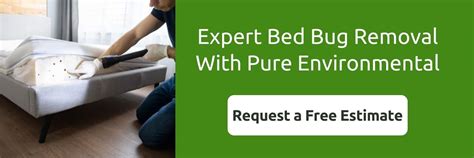 Do Bed Bugs Fly? - Pure Environmental