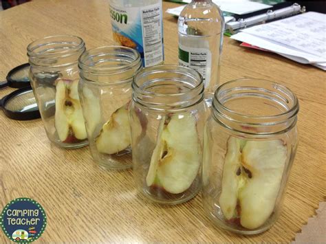 CampingTeacher: Apples Experiment