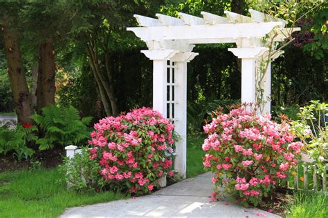 Garden Arbor Ideas To Make Your Backyard Truly Unique