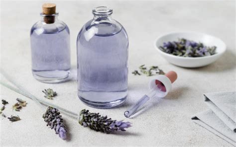 What Scents Go Well With Lavender? 12 Top Combinations