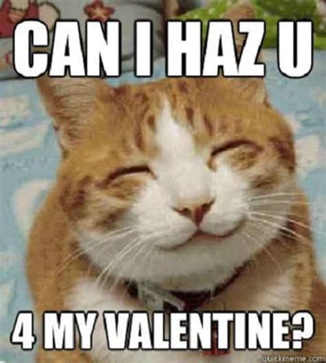 75 Funny Valentine Memes To Get You Through V Day - SayingImages.com