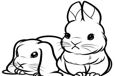 Cute bunny coloring pages to download and print for free