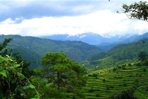 Ranikhet Hill Station, Ranikhet Hill Station Tour & Travel Information