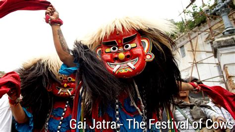 Gai Jatra 2079, Festival of Cows, Festivals in Kathmandu Valley