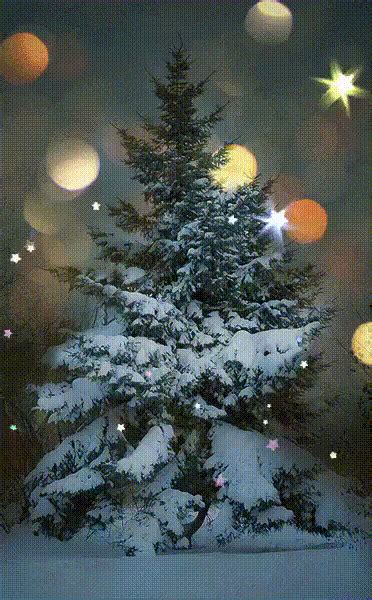 a christmas tree is lit up in the snow at night with lights shining on it