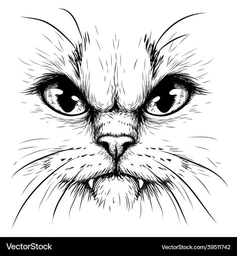 Cat graphic portrait of a angry Royalty Free Vector Image