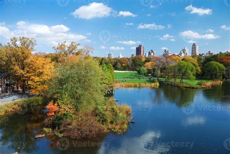 Central Park view 8343532 Stock Photo at Vecteezy