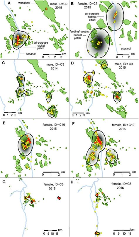 Examples of habitat and patch use by Common Cuckoos, where their hosts ...